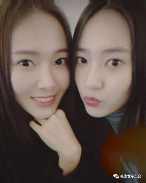 郑氏姐妹表情包大全,趣味横生的网络文化现象