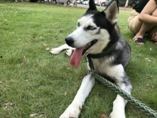 徐秀图片,探寻东方女性的独特魅力