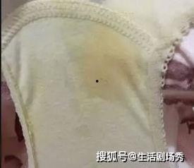 女主播原味内裤,揭秘网络直播界的神秘诱惑