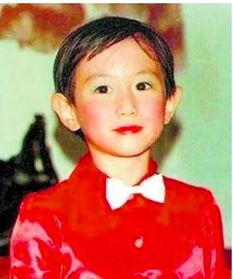 陈键锋小时候照片,从青涩少年到璀璨明星的成长轨迹