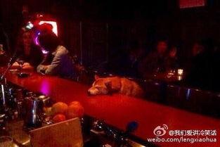 深夜买醉的图片,酒精中的孤独与释怀